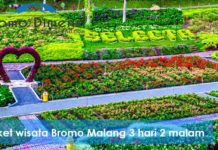 Paket Wisata Bromo Malang 3 hari 2 malam murah